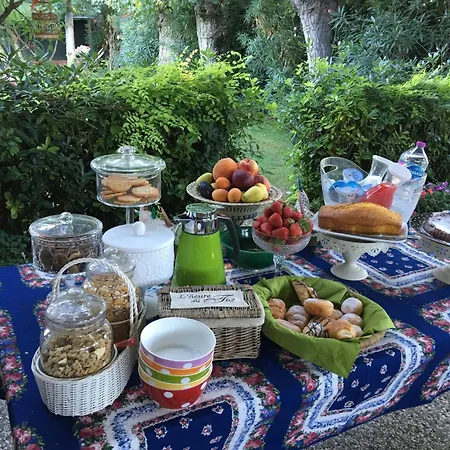 Mirella Marina Palmense