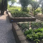 Mirella