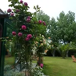 Mirella 5*