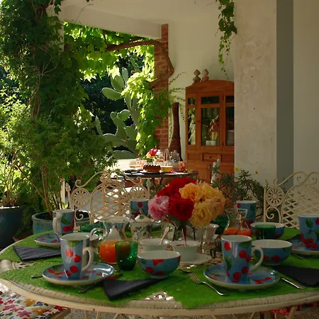 酒店 米雷拉海滩别墅 玛丽娜法尔梦思