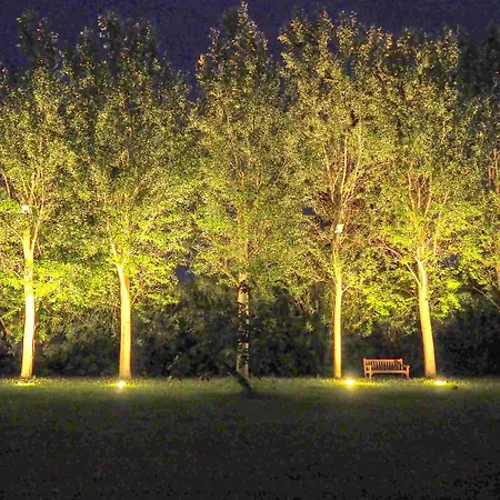 酒店 米雷拉海滩别墅 玛丽娜法尔梦思